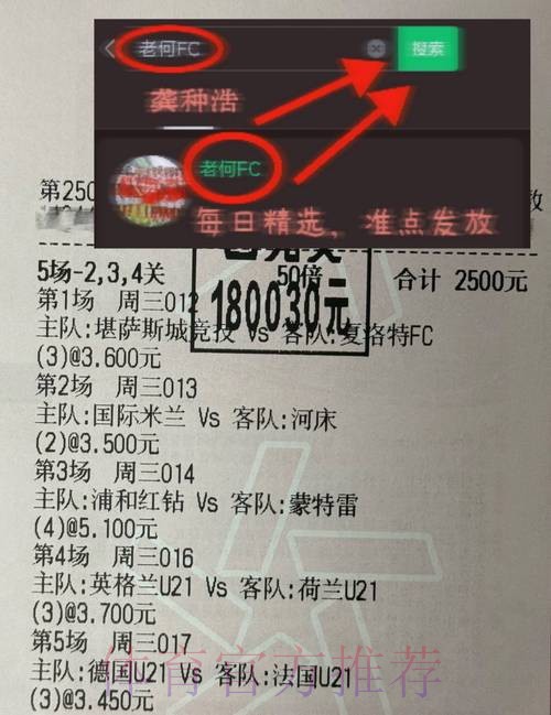 深入分析：热门世界杯外围网站对比推荐